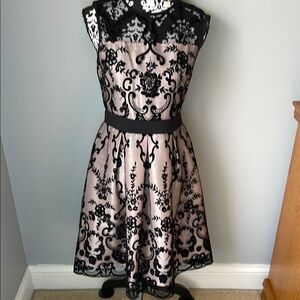 Elegant Black Lace Overlay Dress